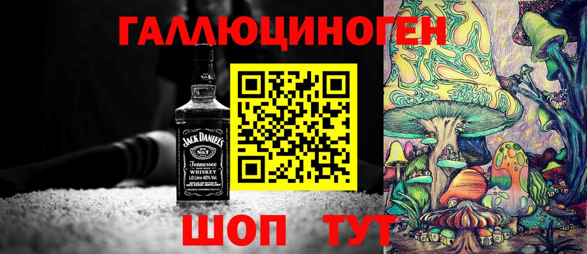 Псилоцибиновые грибы Psilocybine cubensis Гусев